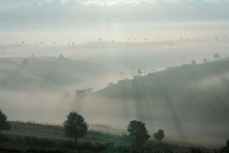 Lire la suite à propos de l’article Launching a mailbox